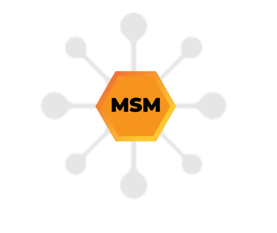 MSM-min